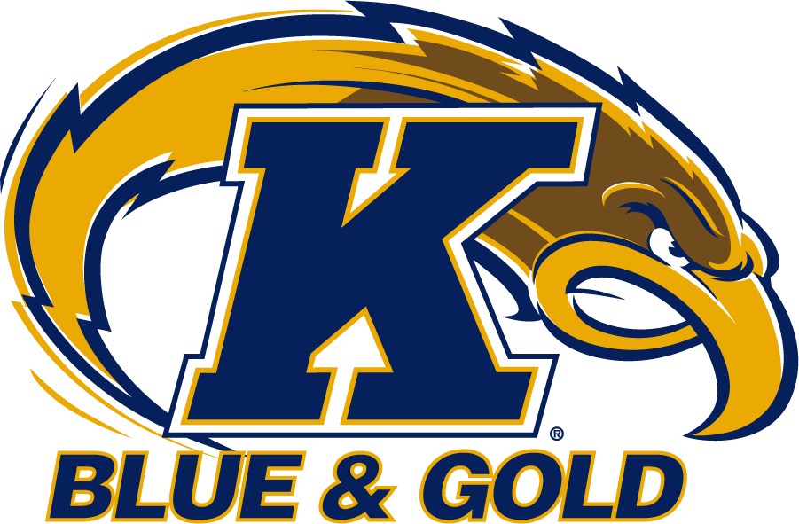 Kent State Golden Flashes 2001-2017 Secondary Logo v2 diy DTF decal sticker